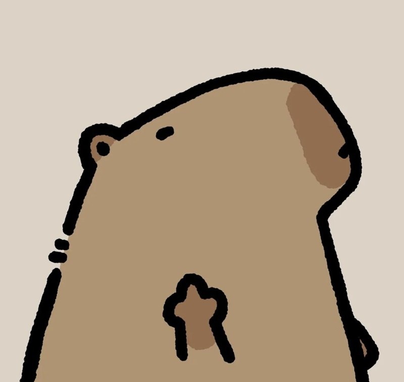avatar capybara vô tri 12