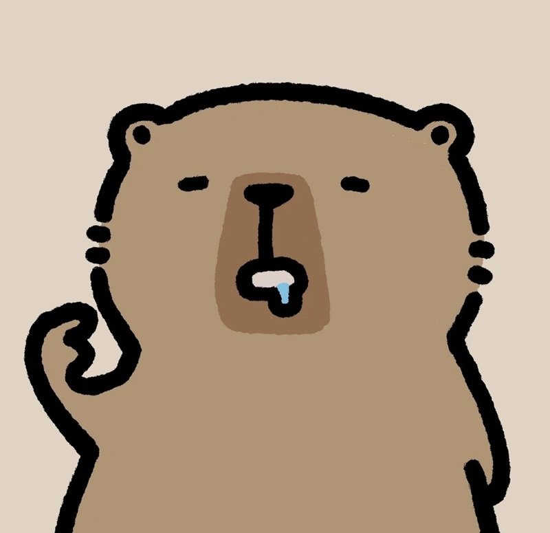 avatar capybara vô tri 13