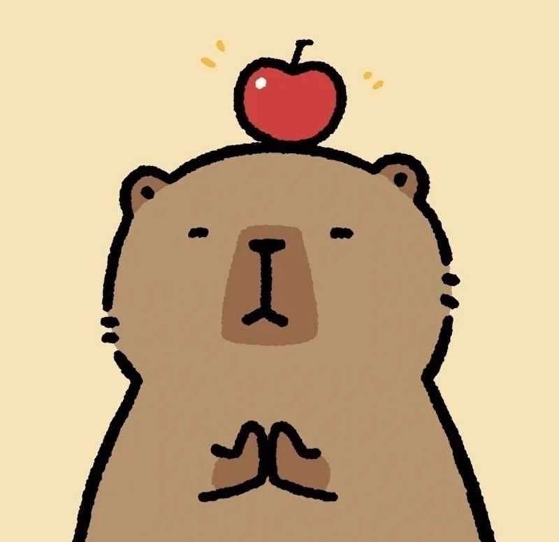 avatar capybara vô tri 20