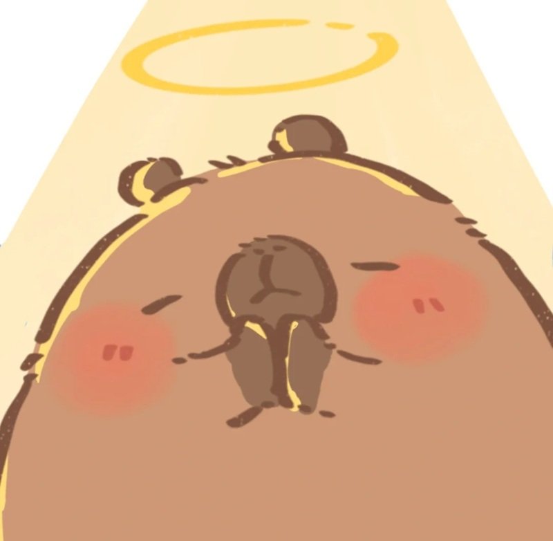 avatar capybara vô tri 24