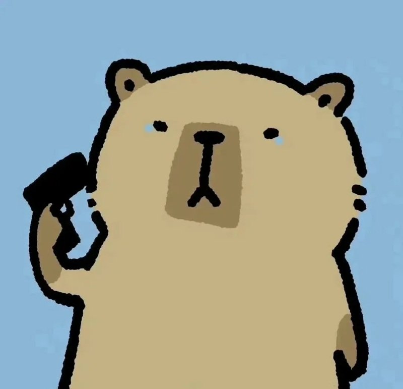 avatar capybara vô tri 40