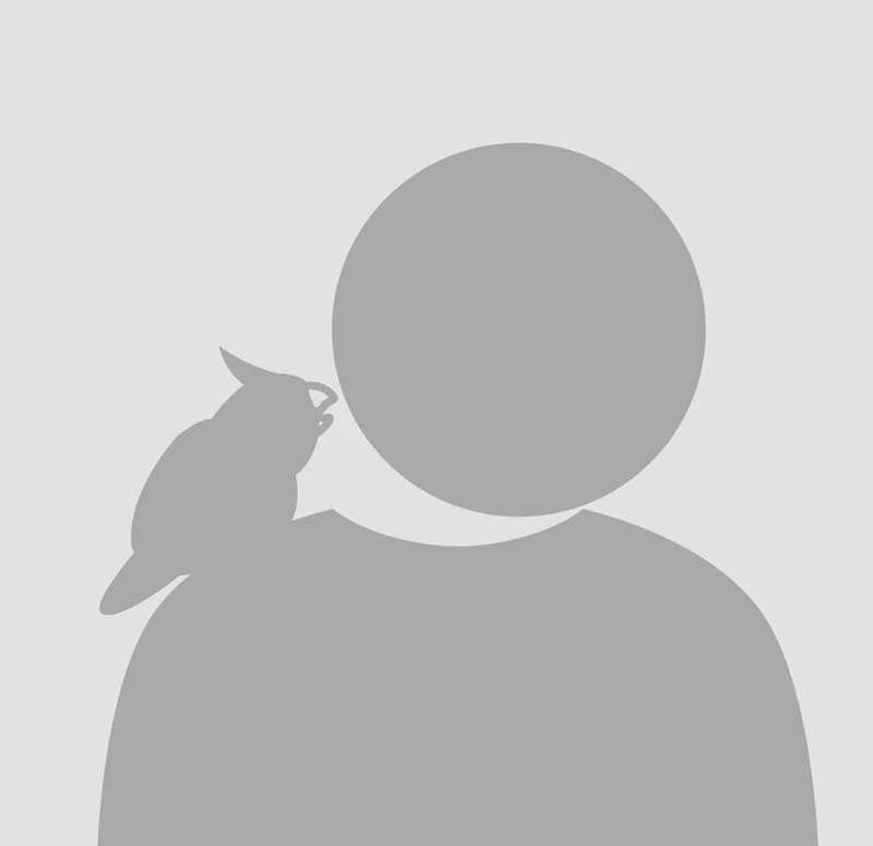 avatar facebook mặc định 19