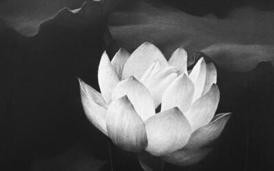 avatar hoa sen trắng 29