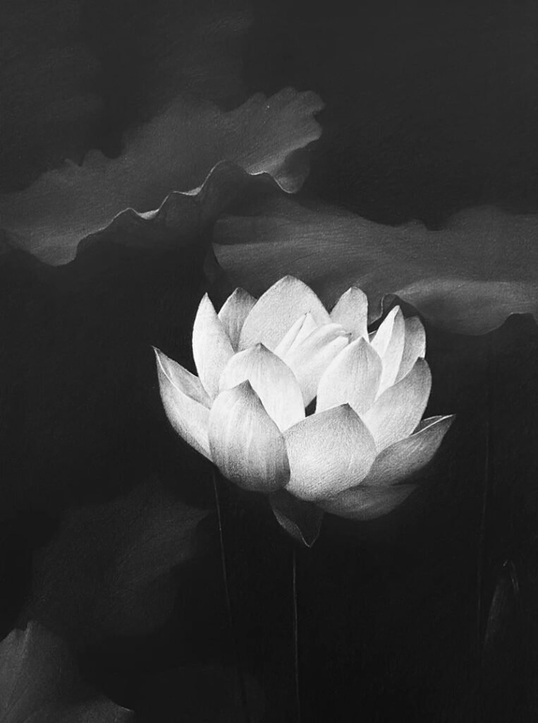 avatar hoa sen trắng 29