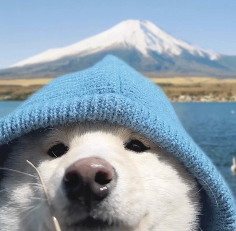 avatar màu xanh dương cute 13