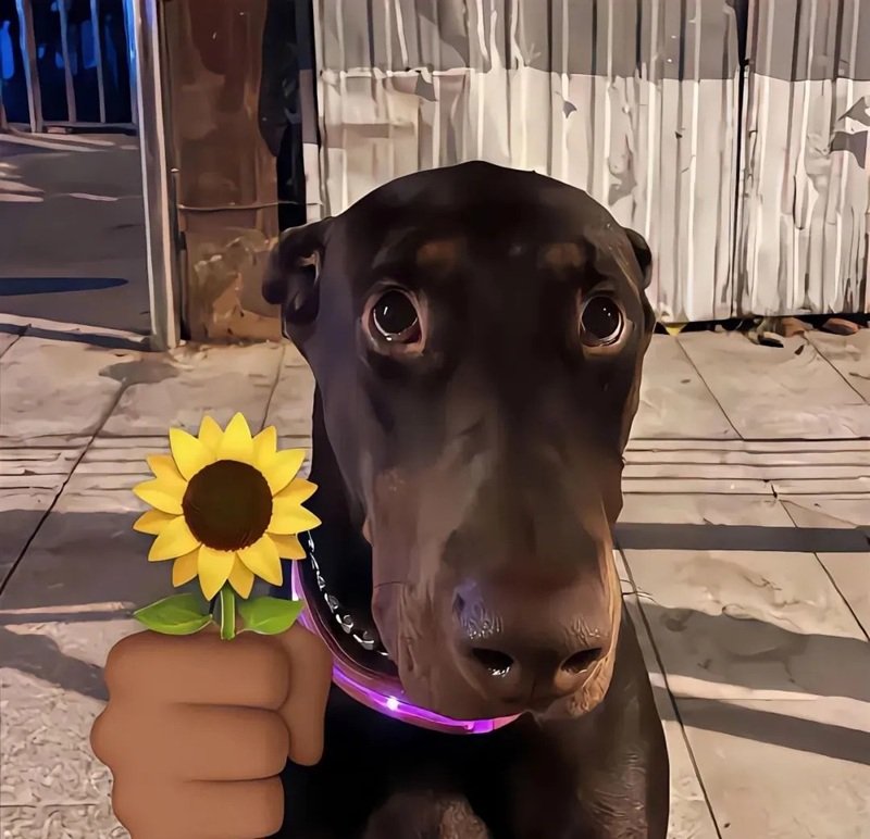 avatar meme hài bựa 14