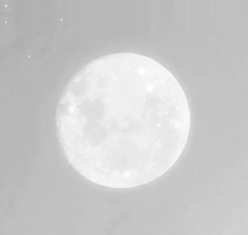 avatar trắng mặc định 1