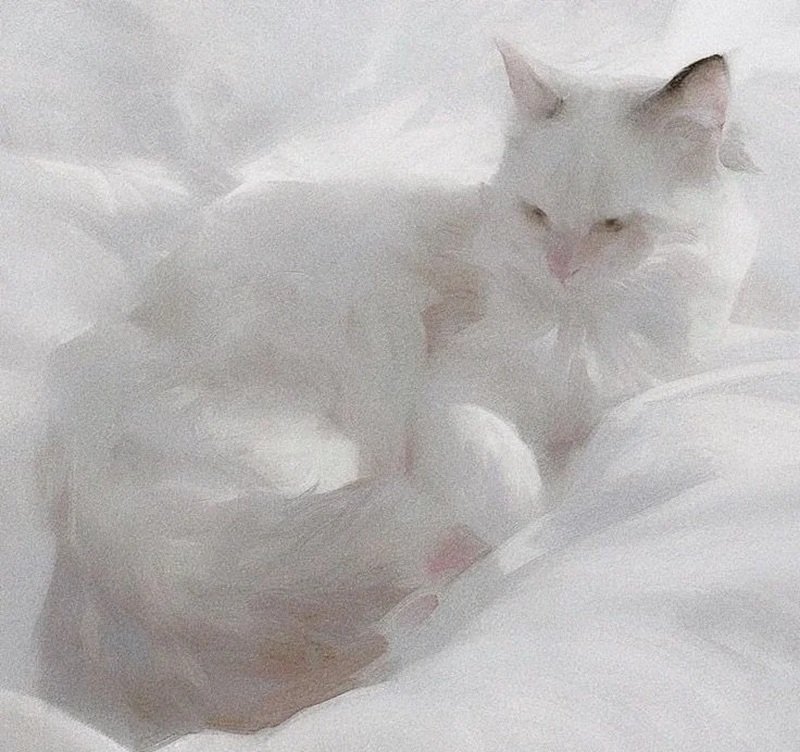 avatar trắng mặc định 2