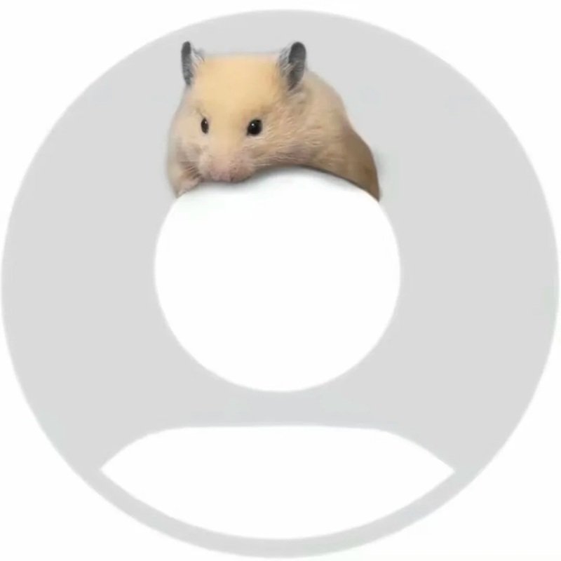 avatar trắng mặc định 40