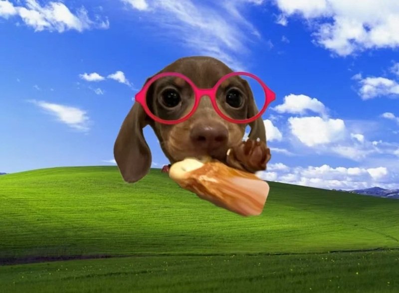 hình nền máy tính meme 14