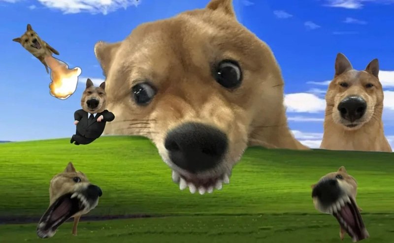 hình nền máy tính meme 21