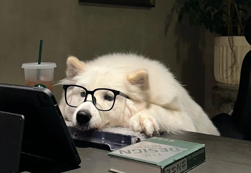 hình nền máy tính meme 33