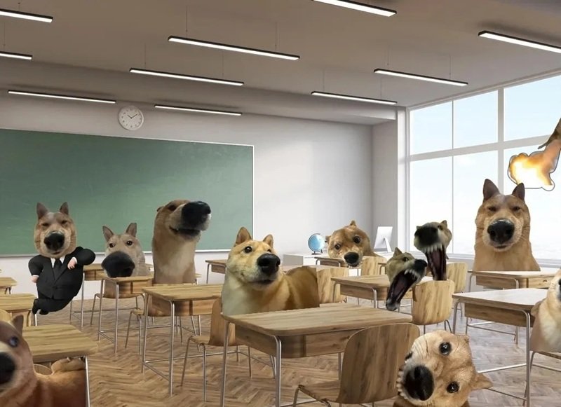 hình nền máy tính meme 8