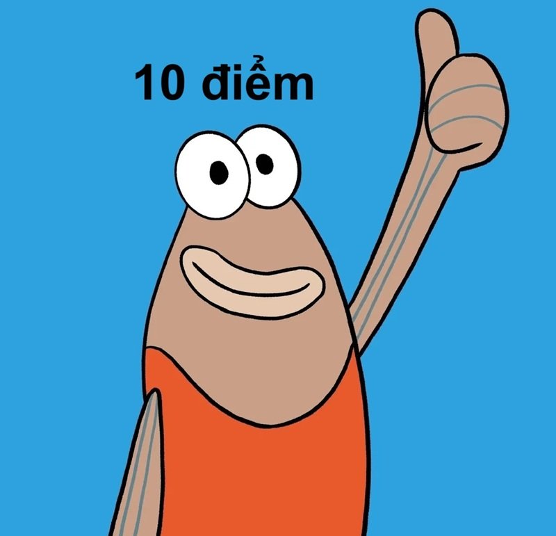 meme 10 điểm 30