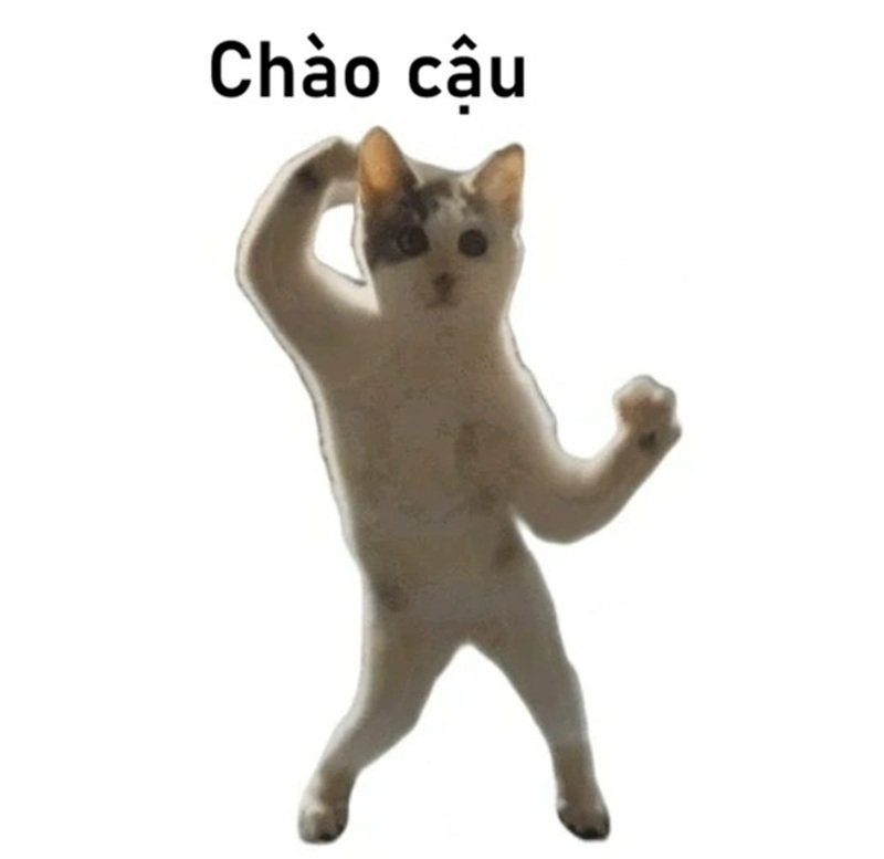 meme chào 1