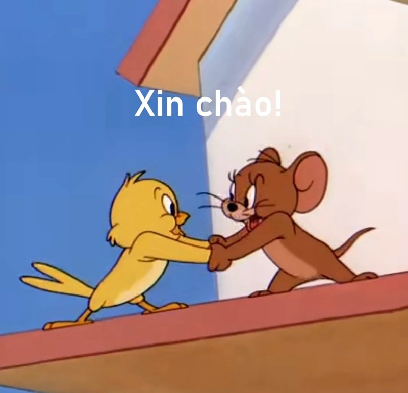 meme chào 10