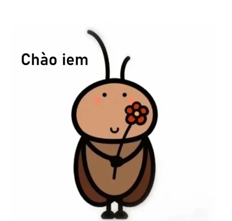 meme chào 19