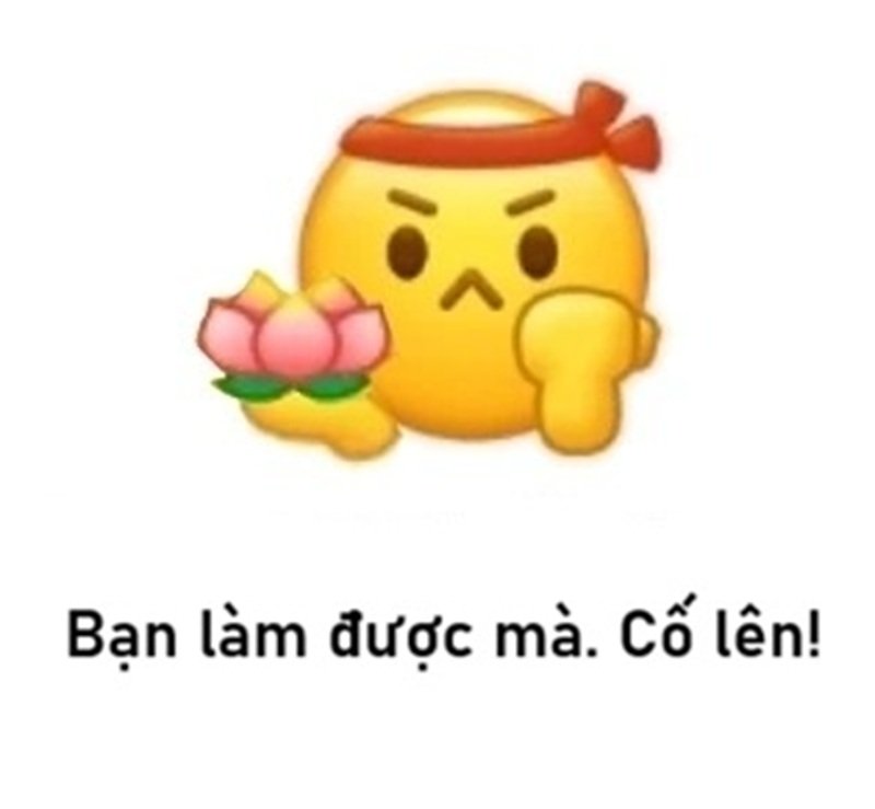 meme cố lên 12