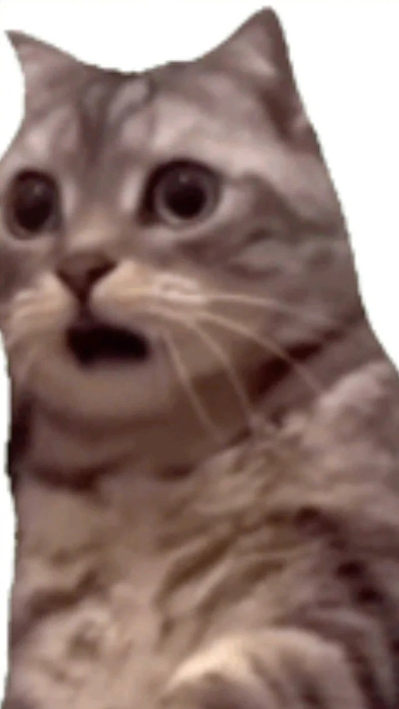 meme hoảng hốt 15