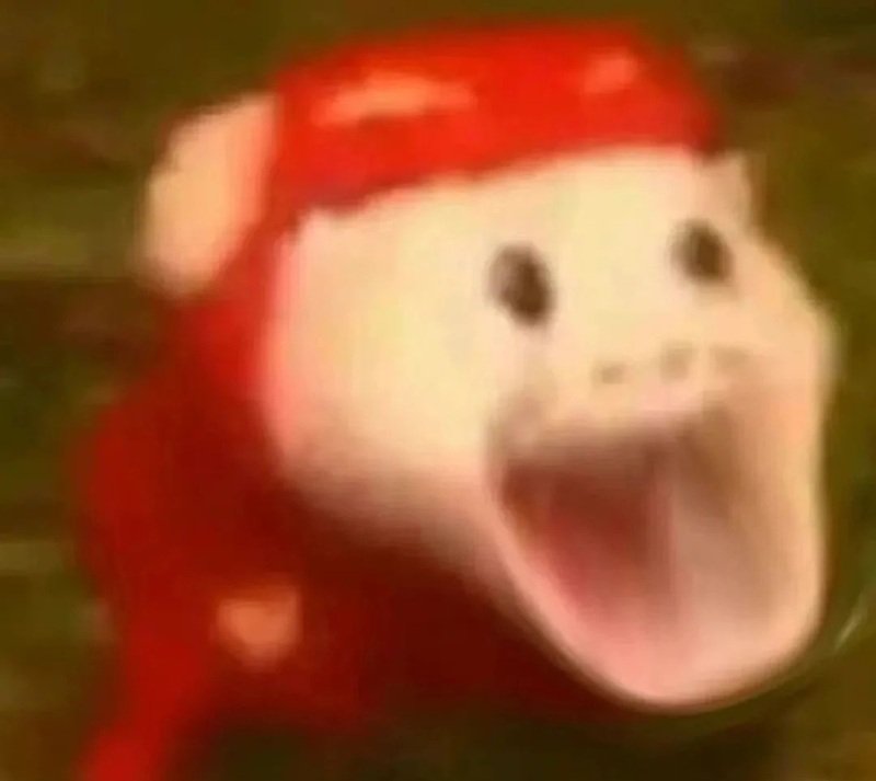 meme hoảng hốt 2