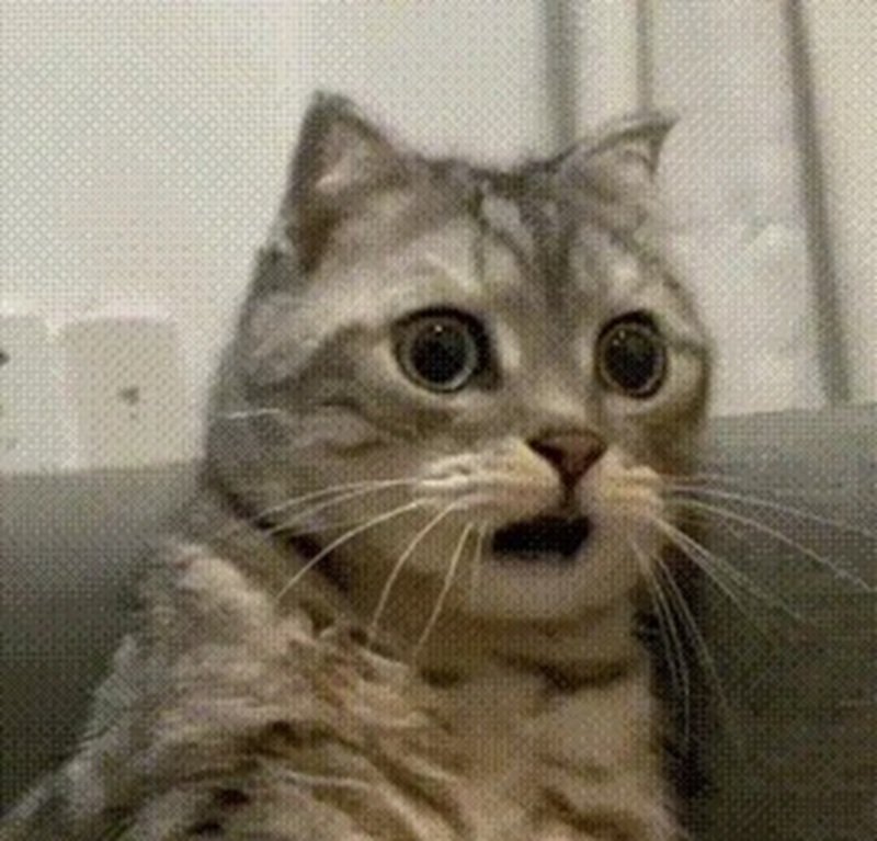 meme hoảng hốt 31