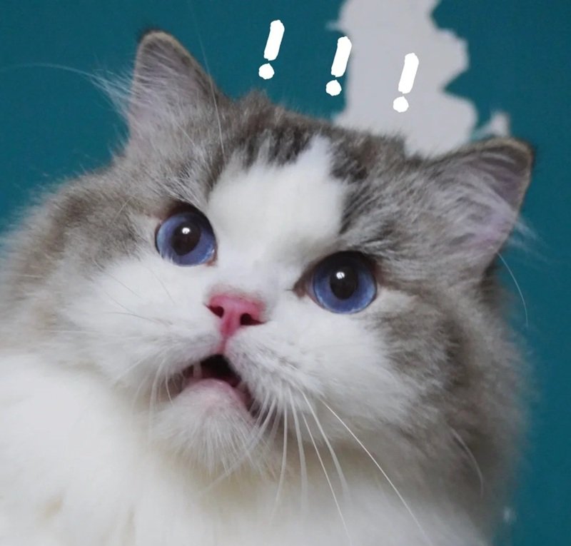 meme hoảng hốt 33