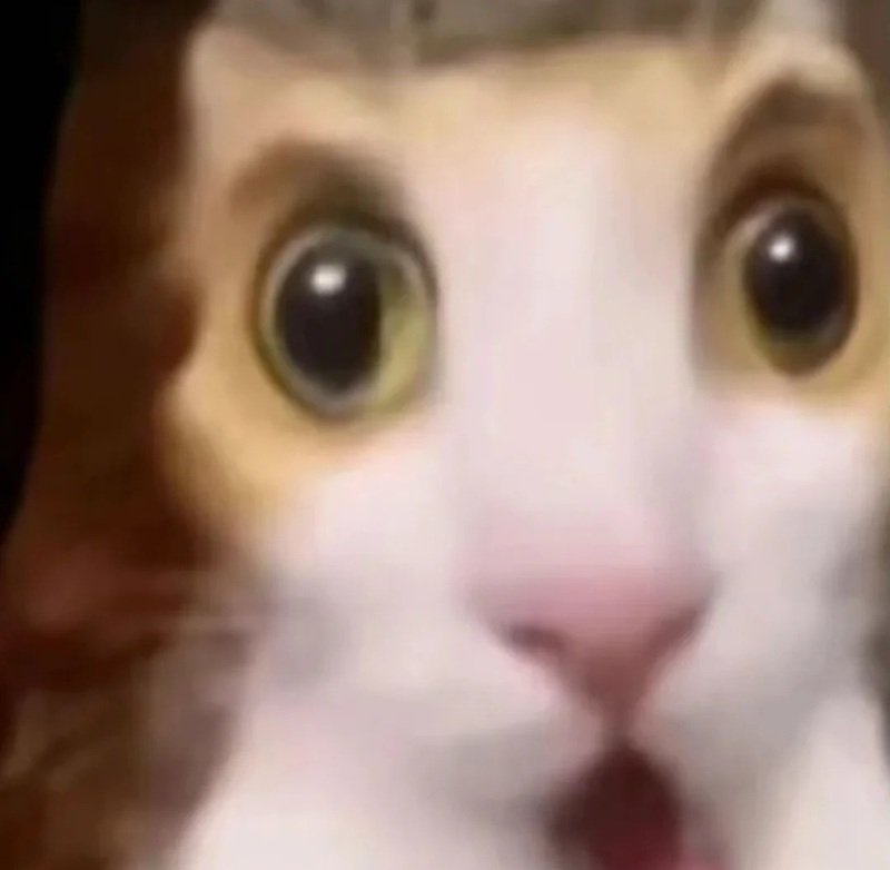 meme hoảng hốt 36