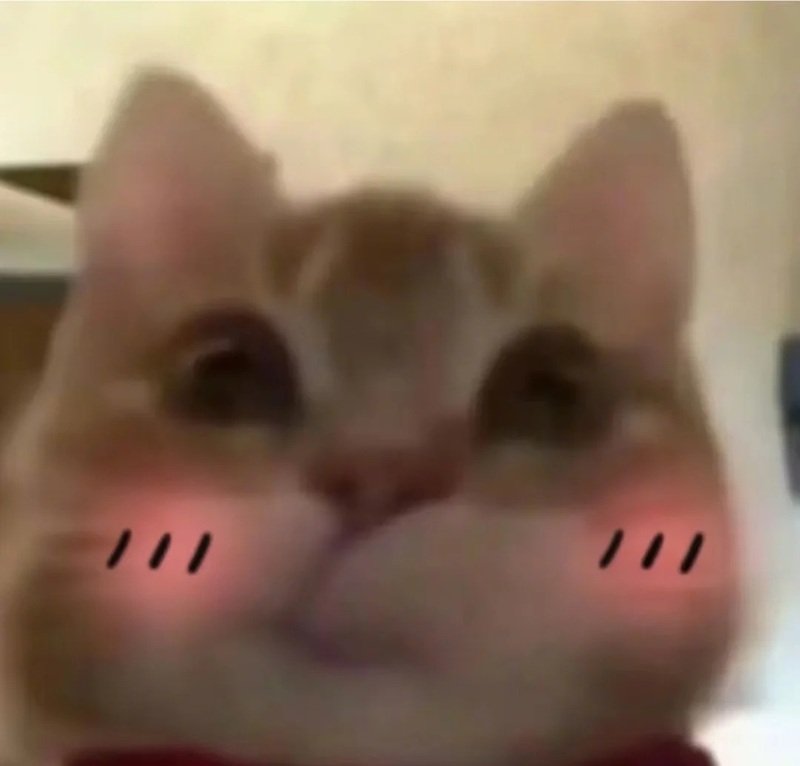 meme ngại ngùng 11