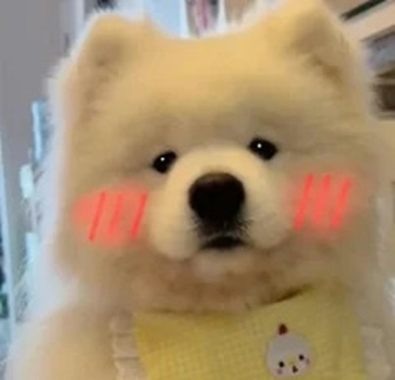 meme ngại ngùng 13