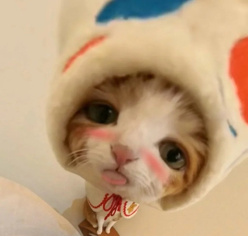 meme ngại ngùng 24