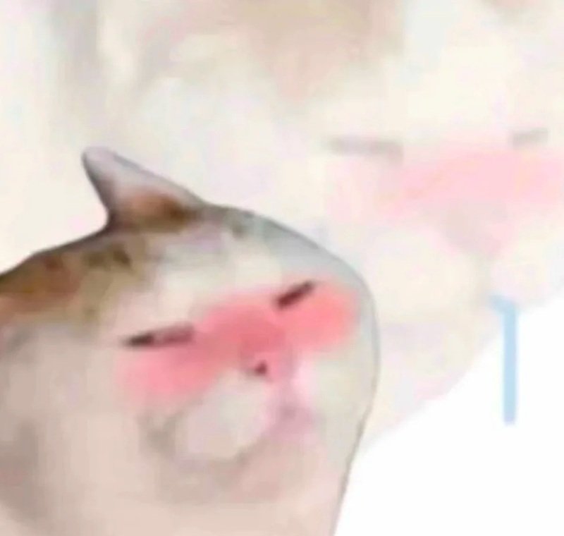 meme ngại ngùng 7