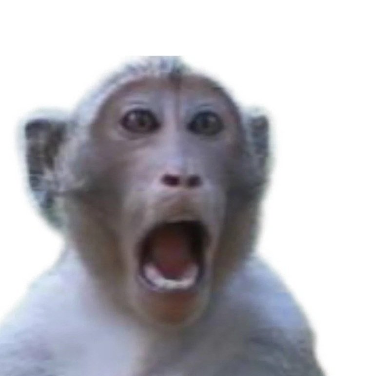 monkey meme 16