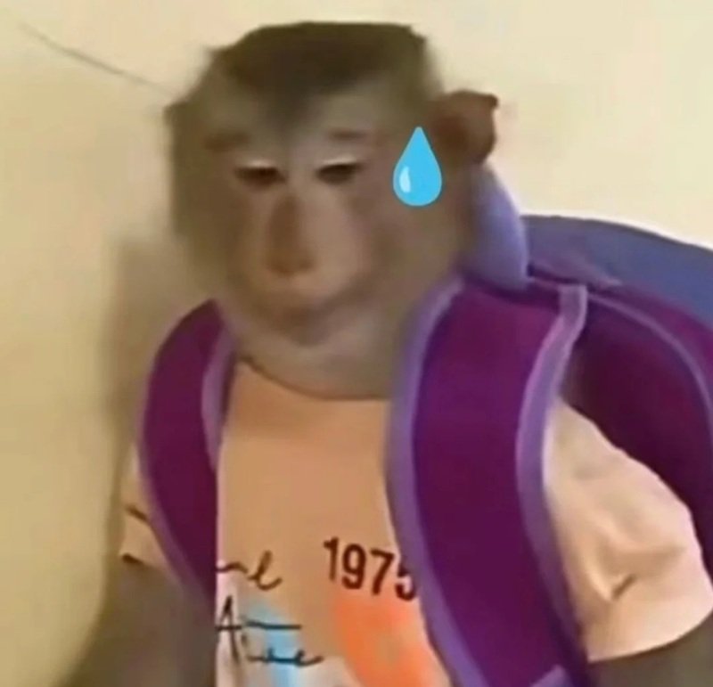 monkey meme 19