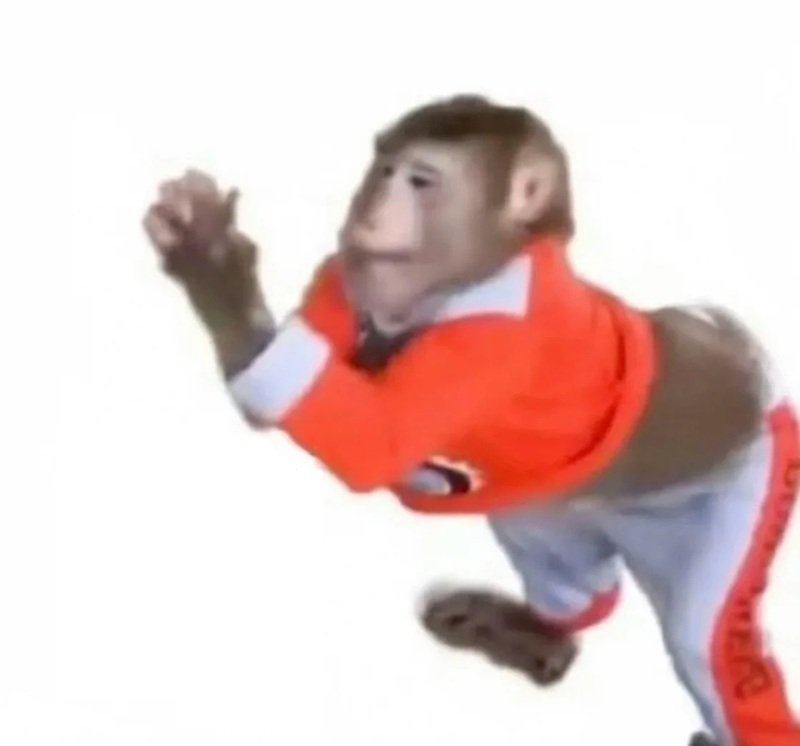 monkey meme 46