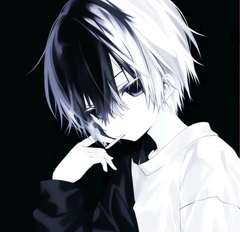 top 36 ảnh đại diện đẹp 9