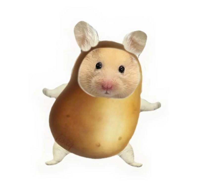 hamster meme 26