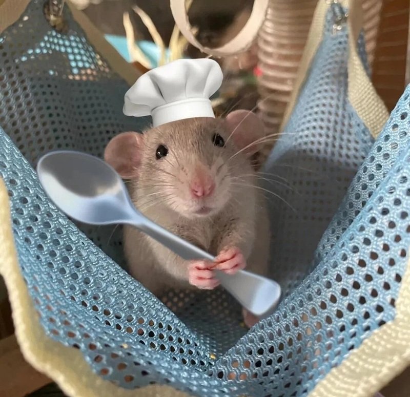 99+ Hamster Meme Siêu Lầy Khiến Bạn Bật Ngửa