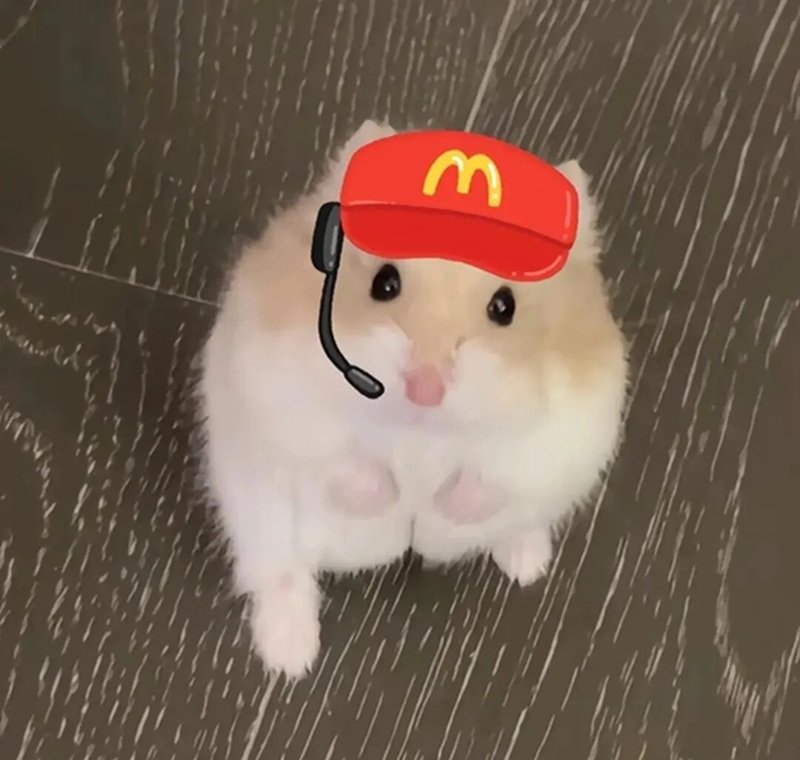 hamster meme 33