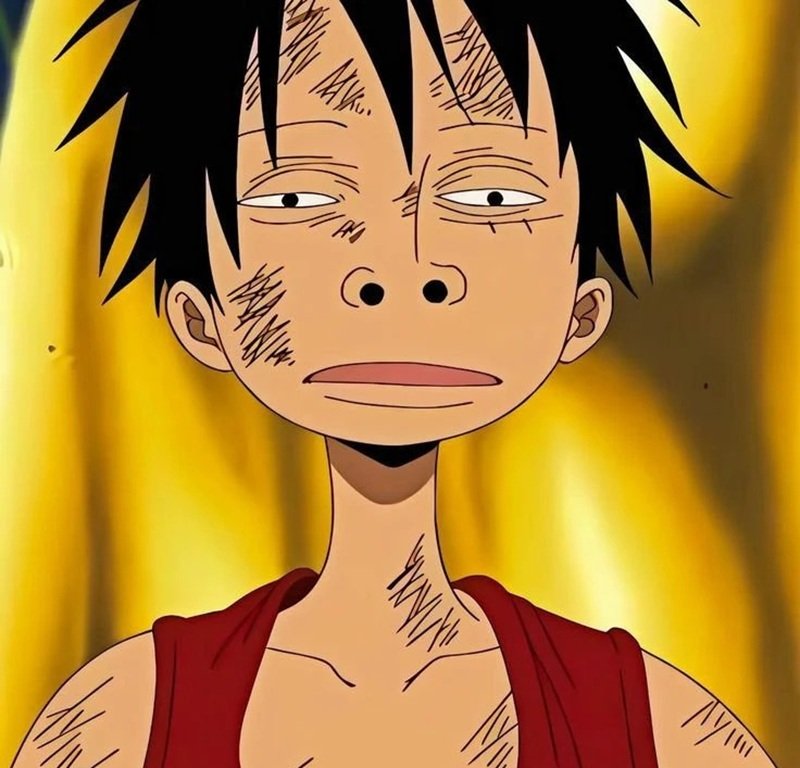 hình luffy 14