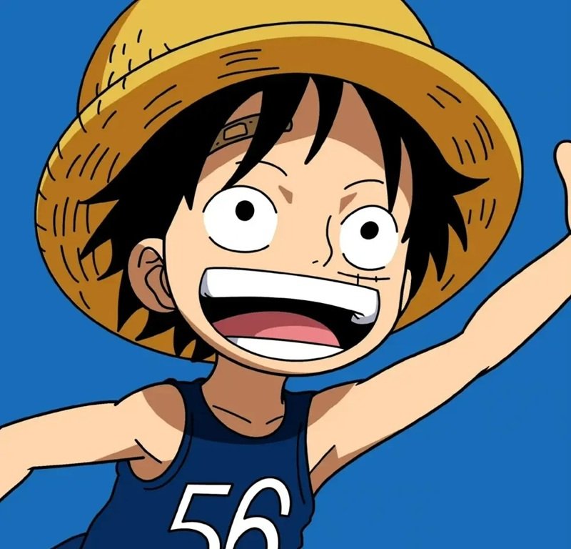hình luffy 17