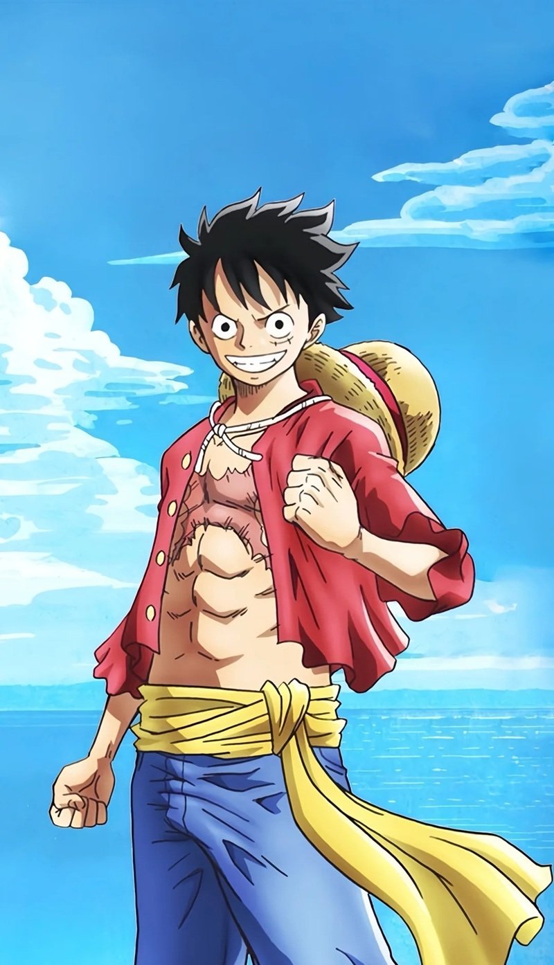 hình luffy 23