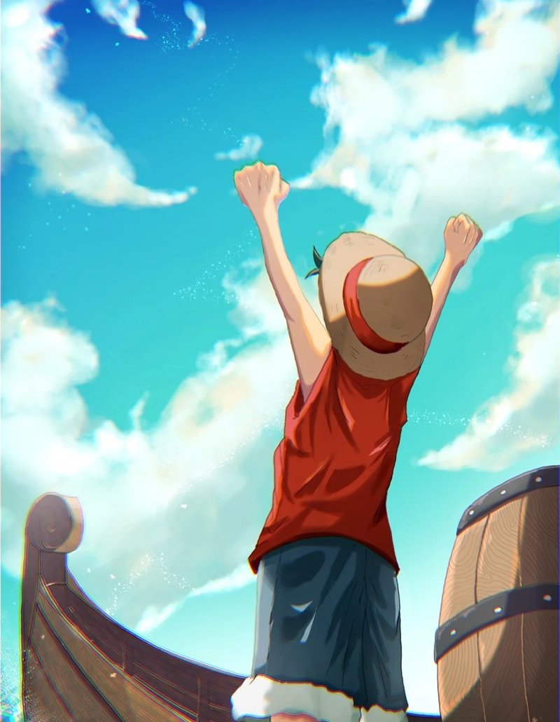 hình luffy 25