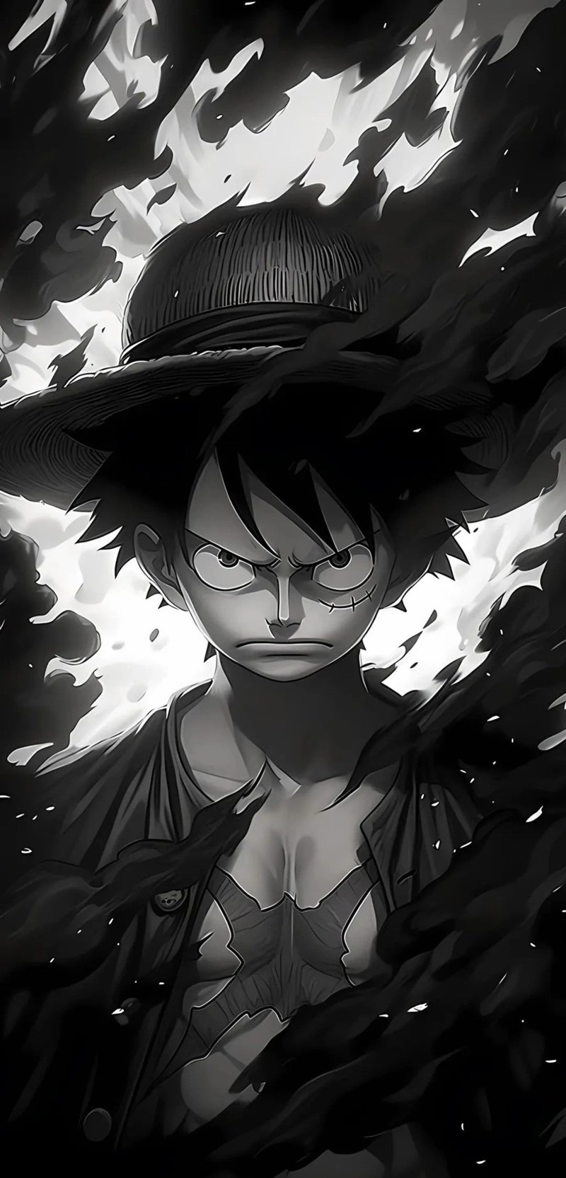 hình luffy 31