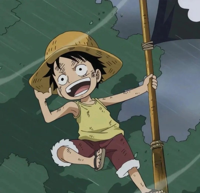 hình luffy 8