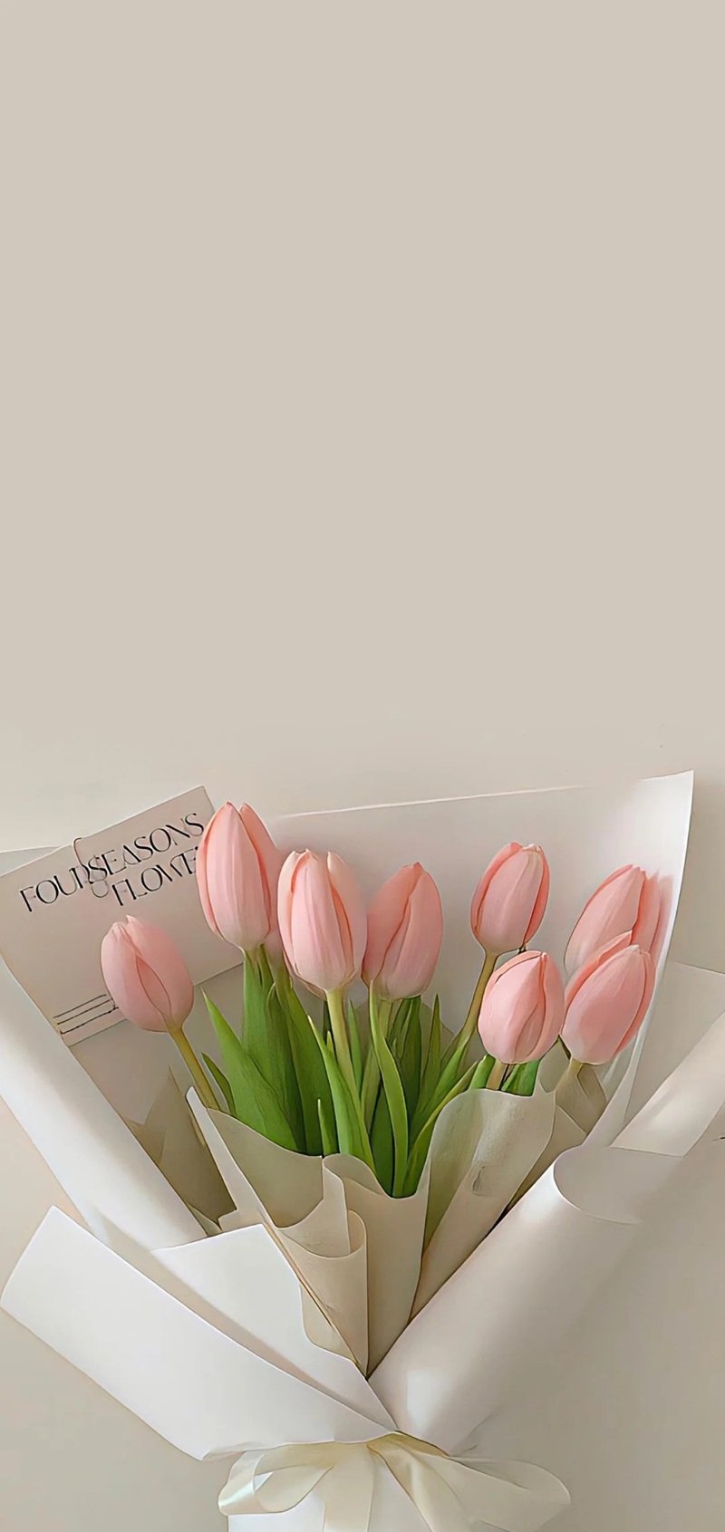 hình nền hoa tulip cute 36