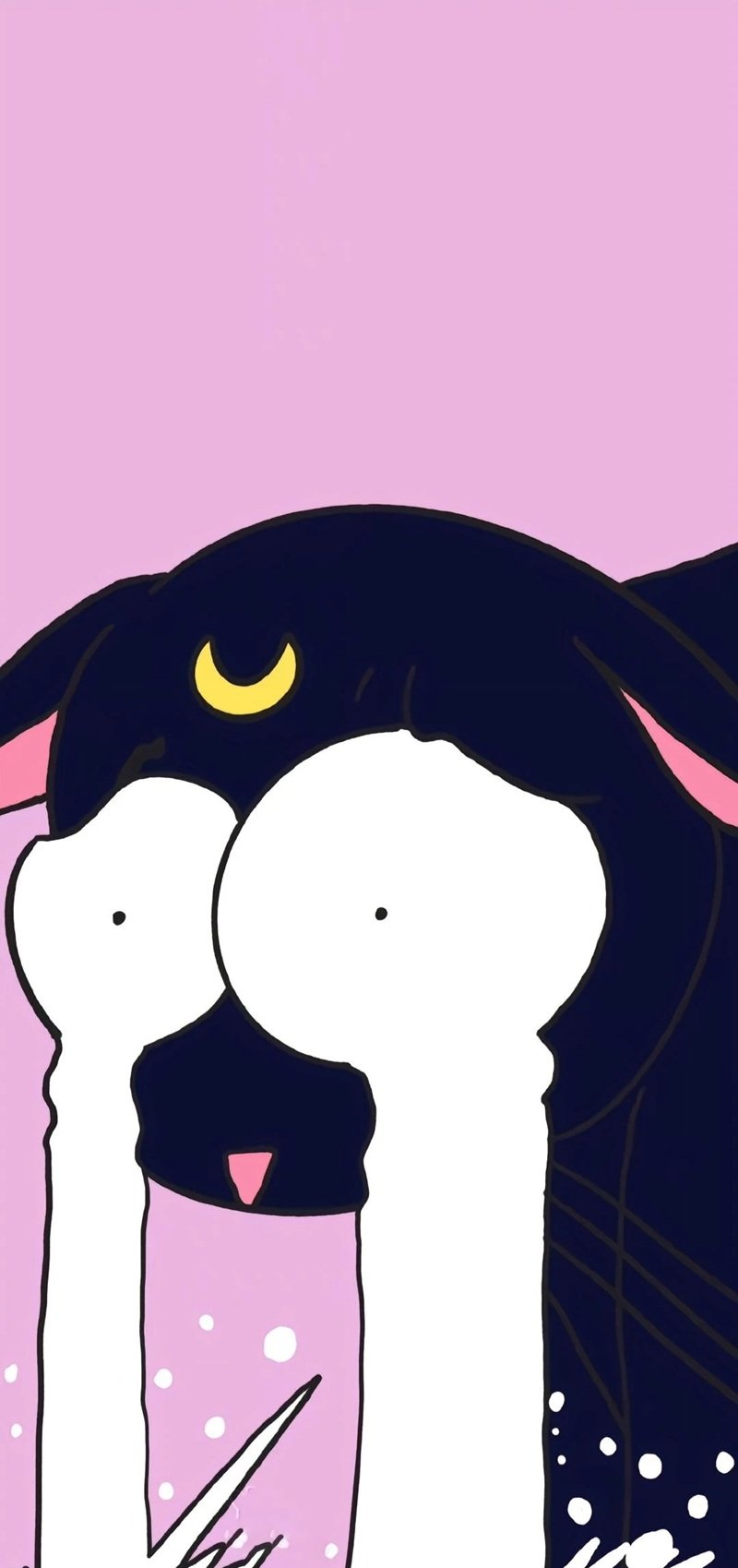 hình nền meme hài 33