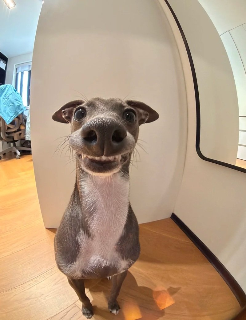 hình nền meme hài 5