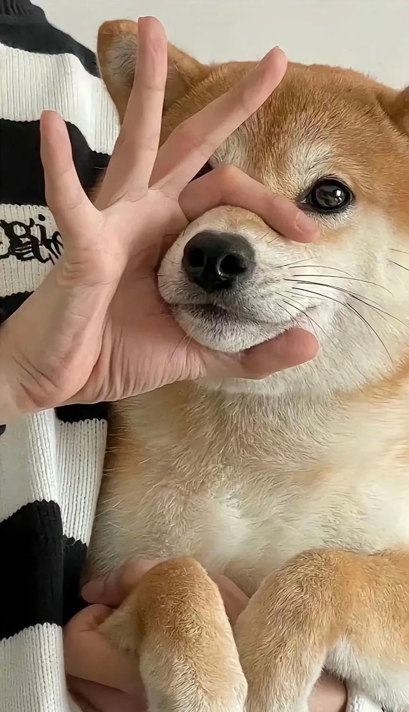 hình nền vô tri 40