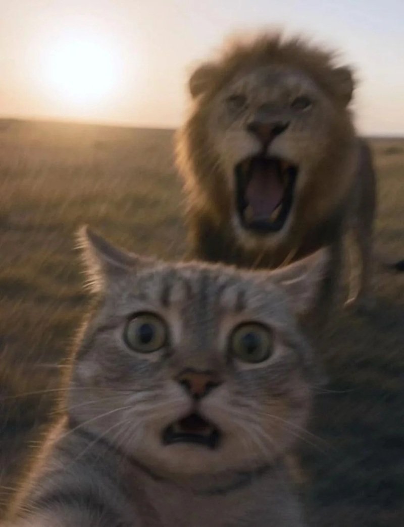 hình nền vô tri 8