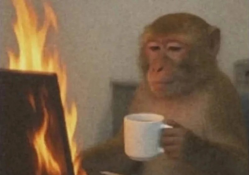 khỉ meme 15